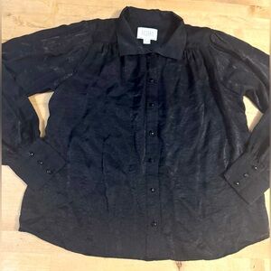 Fifteen Twenty Elegant women’s Black shimmer Blouse